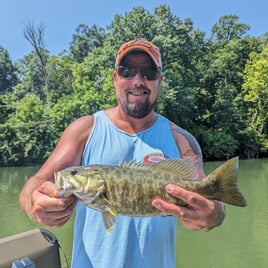 Smallmouth Bass Fishing in Sevierville, Tennessee