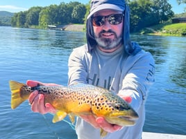 Brown Trout Fishing in Flippin, Arkansas