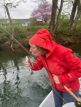 SOUTH HOLSTON RIVER FLY FISHING