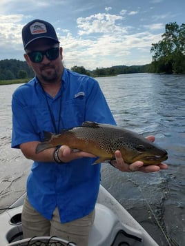 SOUTH HOLSTON RIVER FLY FISHING