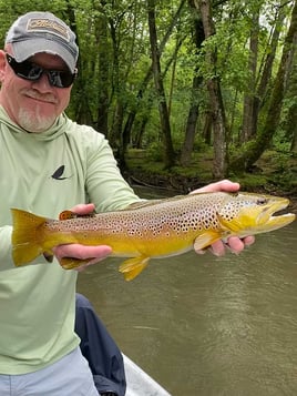 WATAUGA RIVER FLY FISHING