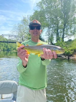 Brown Trout Fishing in Halls Crossroads, Tennessee