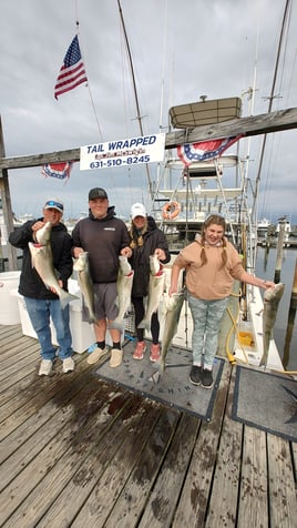 1/2 Day 4hr inshore Striped Bass AM (Copy)