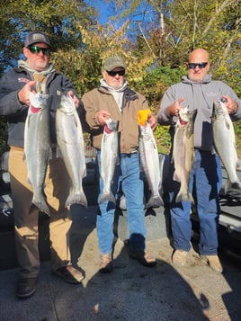 Chinook Salmon Fishing in Coles Corner, Washington