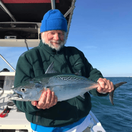 False Albacore Fishing in Morehead City, North Carolina