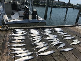 THE TRADITIONAL HALF-DAY FISHING CHARTER (4 ½ HRS)