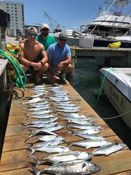 THE TRADITIONAL HALF-DAY FISHING CHARTER (4 ½ HRS)