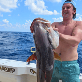 Cobia Fishing in Galveston, Texas