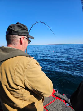 Lake Trout Trolling on Lake Ontario