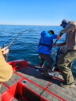 Lake Trout Trolling on Lake Ontario