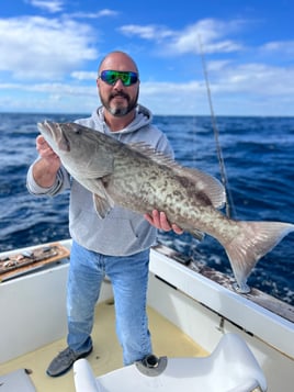 Gag Grouper Fishing in Morehead City, North Carolina