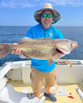 Gag Grouper Fishing in Morehead City, North Carolina