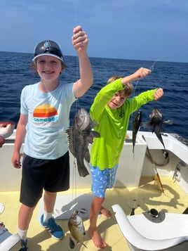 Black Seabass Fishing in Morehead City, North Carolina