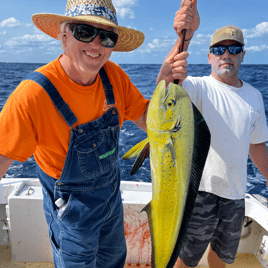 Mahi Mahi Fishing in Morehead City, North Carolina