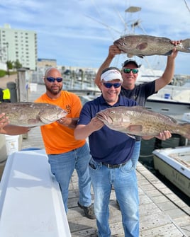 Gag Grouper Fishing in Morehead City, North Carolina