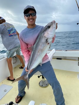 Amberjack Fishing in Morehead City, North Carolina