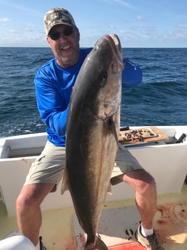 Amberjack Fishing in Morehead City, North Carolina