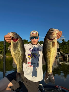 Largemouth Bass Fishing in Lake Ozark, Missouri