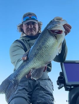 Largemouth Bass Fishing in Lake Ozark, Missouri