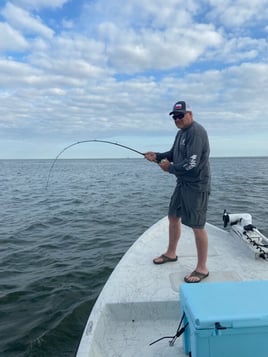 POC Bays and Jetties