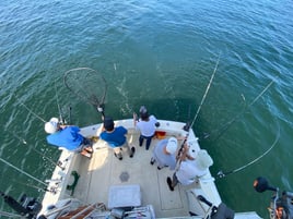 Walleye Fishing on Lake Erie