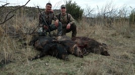 Hog Hunting in Levelland, Texas