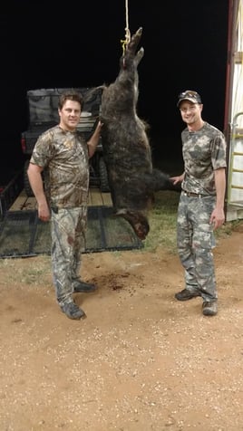 Hog Hunting in Levelland, Texas