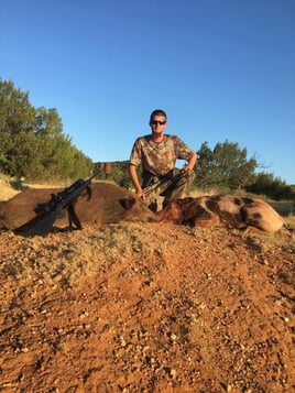 Hog Hunting in Levelland, Texas