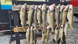 Walleye Fishing in Lorain, Ohio