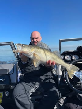 Trophy Lake Erie walleye