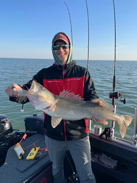 Trophy Lake Erie walleye