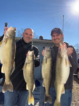 Trophy Lake Erie walleye