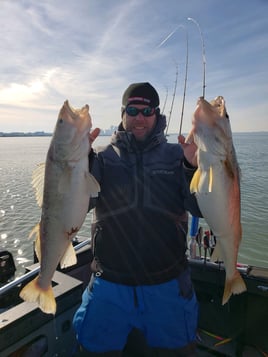 Trophy Lake Erie walleye