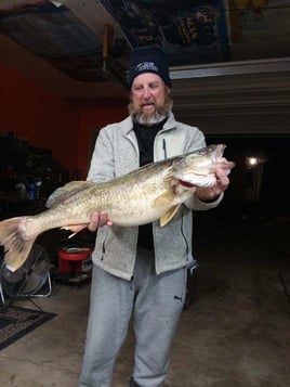 Trophy Lake Erie walleye