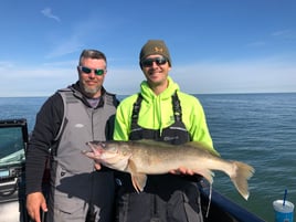 Trophy Lake Erie walleye