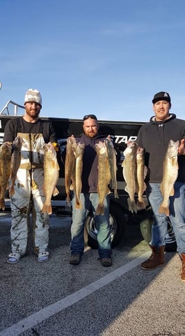 Trophy Lake Erie walleye