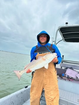 Inshore Fishing Trip