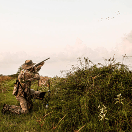 Garwood TX Dove Hunts