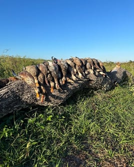 Garwood TX Duck Hunts