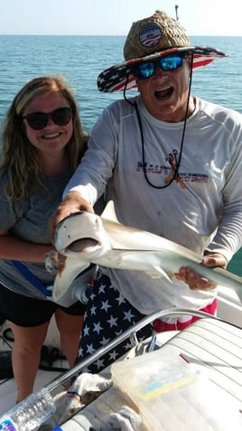 3 Hr Shark trip