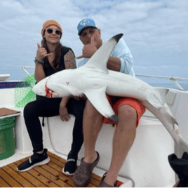 3 Hr Shark trip