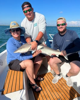 3 Hr Shark trip