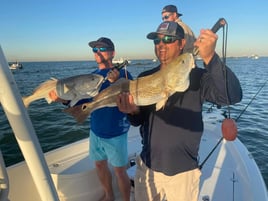 Fishing Charter Full Day or Half Day