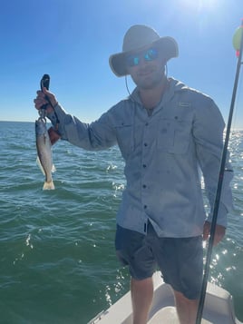 Fishing Charter Full Day or Half Day