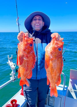 Full Day Charter - Rock Fish / Ling Cod Combo