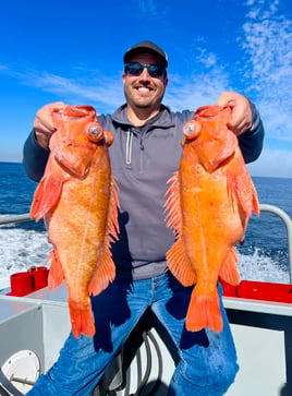 Full Day Charter - Rock Fish / Ling Cod Combo