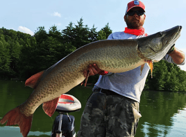 Muskie Fishing in Knoxville, Tennessee