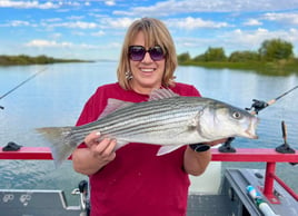 Full Day Charter - Bay Halibut/Stripers with Joseph