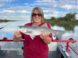 Full Day Charter - Bay Halibut/Stripers with Joseph