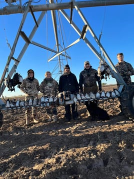 Temple Texas Duck Hunts w/ Lodging & Meals